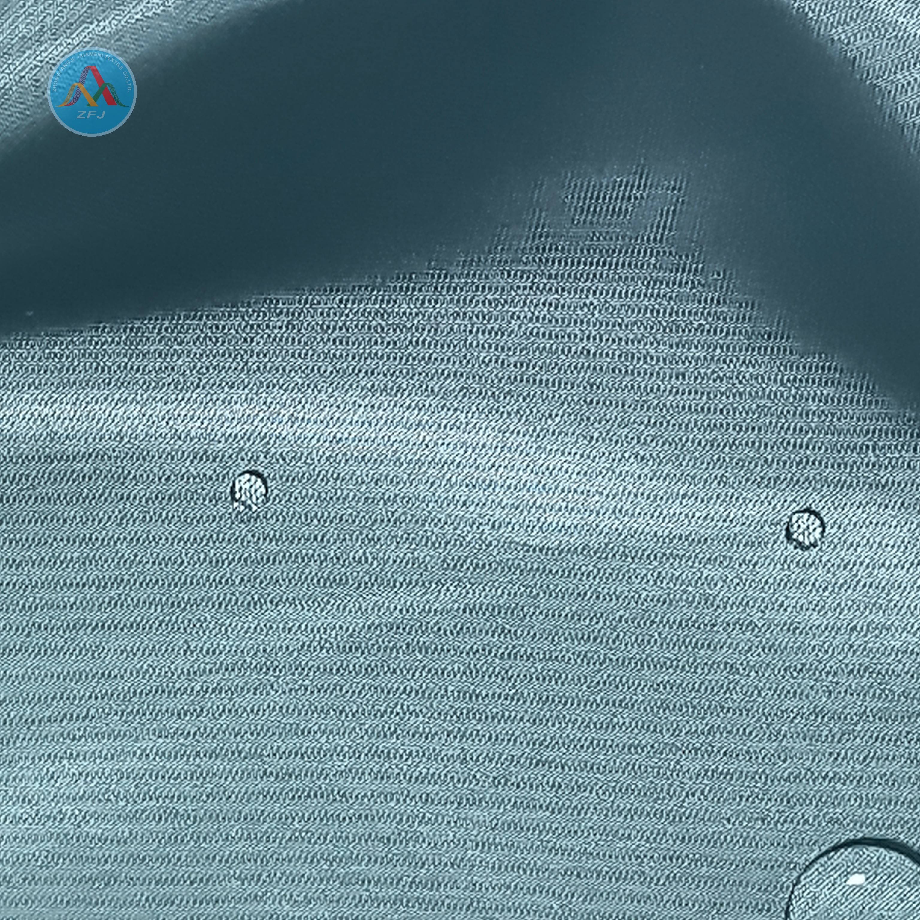 40D*20D 100% Nylon Shiny Water Repellent Fabric