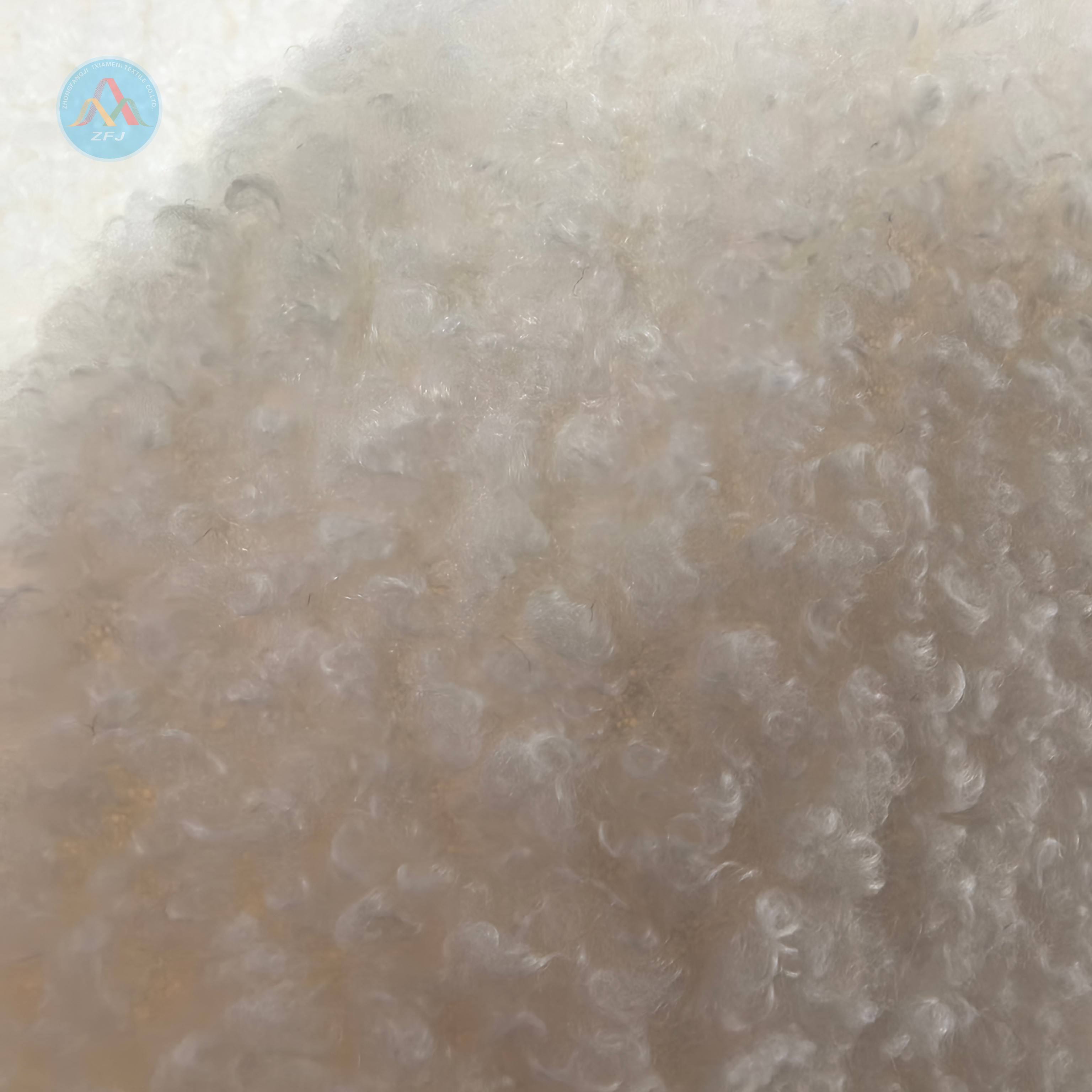 100% Polyester 280gsm Teddy Fleece